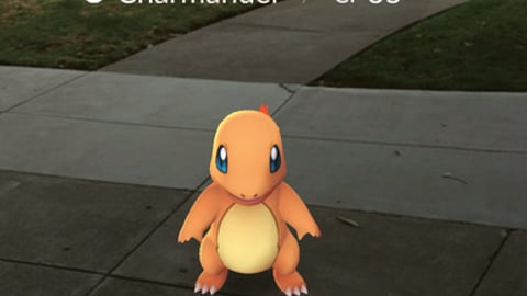 Pokemon Go App